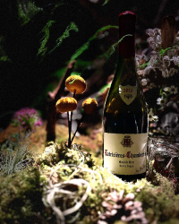 Jean Marie Fourrier Latricieres Chambertin 2013