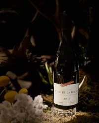 David Duband Clos de la Roche 2017