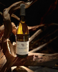 Morey Blanc Meursault Charmes 2013