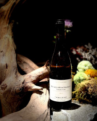 Thomas Morey Batard Montrachet 2011